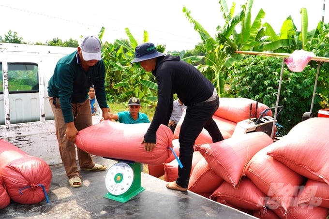 Vietnam's paddy yield currently stands at approximately 43 million tons, which is equivalent to 20 million tons of rice. Photo: Kim Anh.