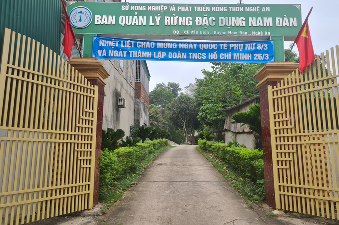 z5383893113566_96dd1904e24878e19e9d324096976164-220102_925.jpg Ban quản lý rừng đặc dụng Nam Đàn mong mỏi được thanh lý 5 ha rừng giống keo lá tràm không đạt tiêu chuẩn. Ảnh: Việt Khánh.