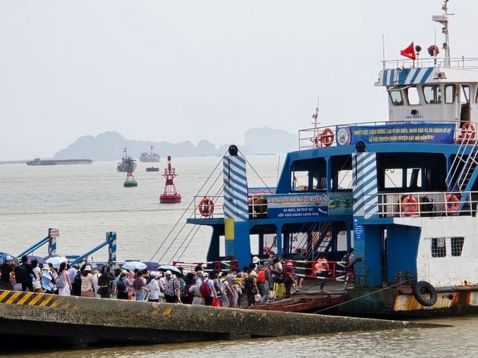 tac-pha-10-140220_153.jpg Ban quản lý bến phà Đồng Bài huy động tối đa lực lượng để phục vụ du khách. Ảnh: Đinh Mười.
