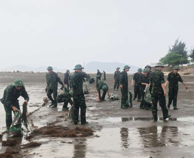 Lực lượng quân đội tham gia thu dọn rong biển và rác bị sóng biển đánh trôi dạt vào khu vực bãi biển 295. Ảnh: Đinh Mười.