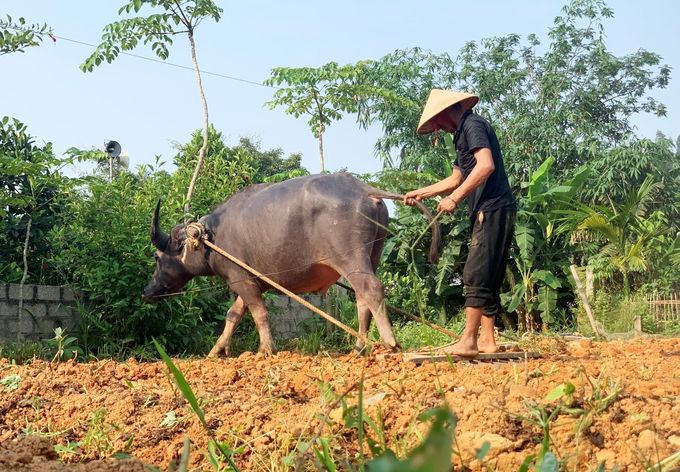Hương Sơn những ngày này được xem là 'chảo lửa' khi nền nhiệt tăng cao khiến người nông dân vật vã làm việc giữa thời tiết oi bức.
