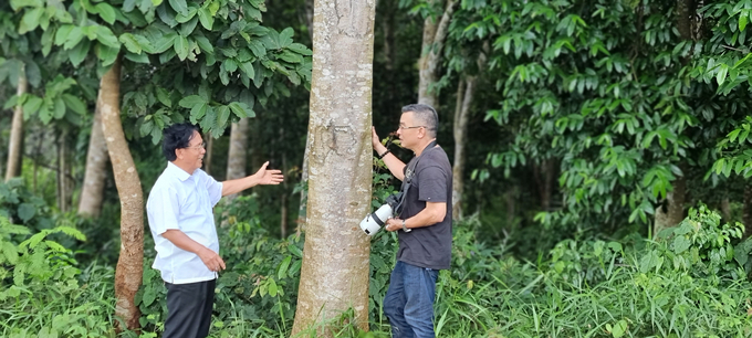 Ông Trần Văn Tấn: 'Người có công đầu gầy dựng khu rừng này là mẹ tôi'. Ảnh: BL.