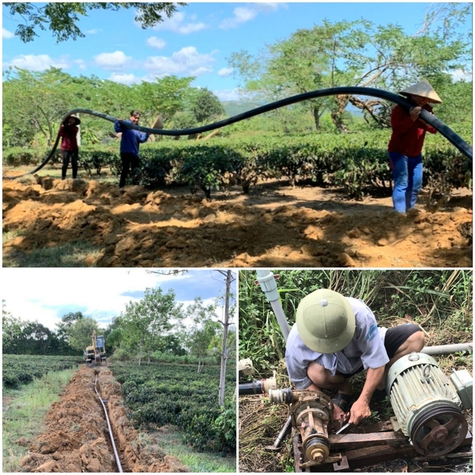 Nhiều hộ dân phải kéo đường ống cỡ lớn, lắp đặt máy bơm để tưới chống hạn cho chè. Một số khác đầu tư hệ thống tưới tự động với chi phí lên đến cả trăm triệu đồng.