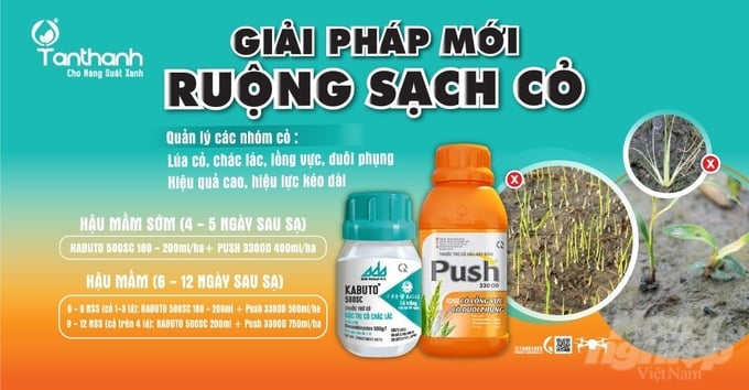 anh-2-135827_683-135827.jpg Sự kết hợp của Kabuto 500SC và Push 330OD là giải pháp tối ưu giúp bà con quản lý cỏ chác lác, lúa cỏ và cỏ hoà bản hiệu quả. Ảnh: Thanh Tuyền.