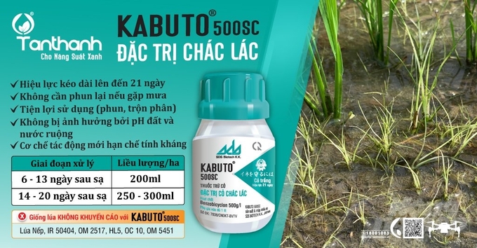 anh-3-140010_373-140010.jpg Sản phẩm Kabuto 500SC đặc trị chác lác và quản lý hiệu quả lúa cỏ trên ruộng lúa. Ảnh: Thanh Tuyền.