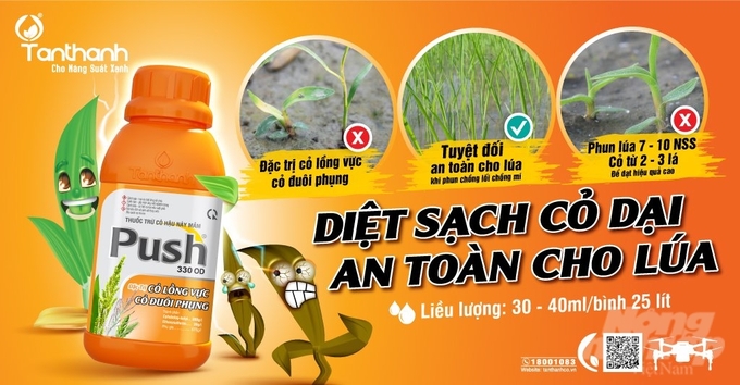 anh-4-140107_807-140107.jpg Sản phẩm Push 330OD trừ cỏ hậu nảy mầm có tác động lưu dẫn, đặc trị nhóm cỏ hòa bản. Ảnh: Thanh Tuyền.
