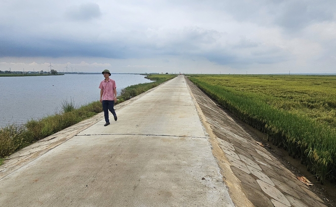 Tuyến đê Thượng Mỹ Trung (đoạn qua xã Gia Ninh), được nâng cấp, đảm bảo cho sản xuất nông nghiệp. Ảnh: T. Phùng.