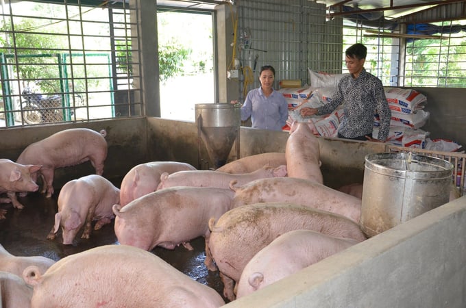 Communities in the highland regions are increasingly prioritizing the care and disease prevention aspects of livestock management. Photo: HD.