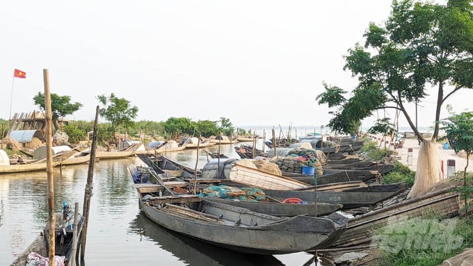 chuyen-ghi-ben-pha-tam-giang-bai-3-nhung-lang-chai-vang-thanh-nien-233702_174-233702.jpg Những con đò trên phá Tam Giang. Ảnh: Công Điền.