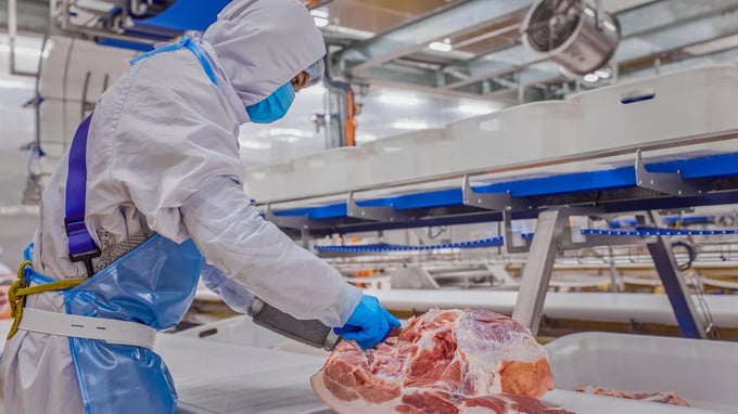Kể từ ngày 16/5, tăng thời hạn giá trị sử dụng của Giấy chứng nhận kiểm dịch, xuất khẩu là 180 ngày, nhập khẩu là 60 ngày. Ảnh: HT.