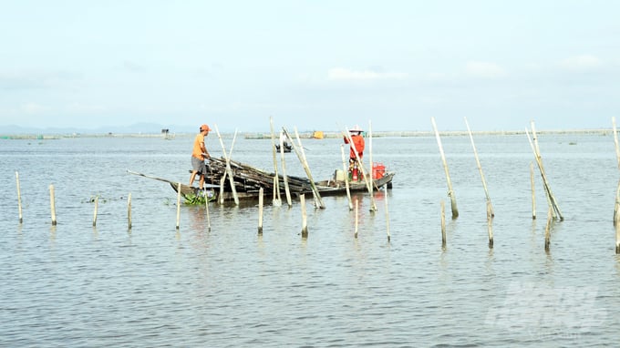 chuyen-ghi-ben-pha-tam-giang-bai-4-mai-nay-co-con-tom-ca-165955_457-165957.jpg Người dân tự ý dựng các trộ sáo trên phá Tam Giang đã ảnh hưởng đến dòng chảy. Ảnh: Công Điền.