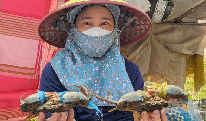 chuyen-ghi-ben-pha-tam-giang-bai-4-mai-nay-co-con-tom-ca-171426_350-171427.jpg Thủy sản phá Tam Giang là nguồn lợi vô tận đối với hàng vạn cư dân ven vùng đầm phá này. Ảnh: Công Điền.