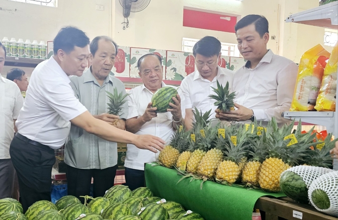 Tập đoàn Quế Lâm đồng hành với Hà Tĩnh phát triển nông nghiệp hữu cơ, nông nghiệp tuần hoàn. Ảnh: Hoàng Anh.