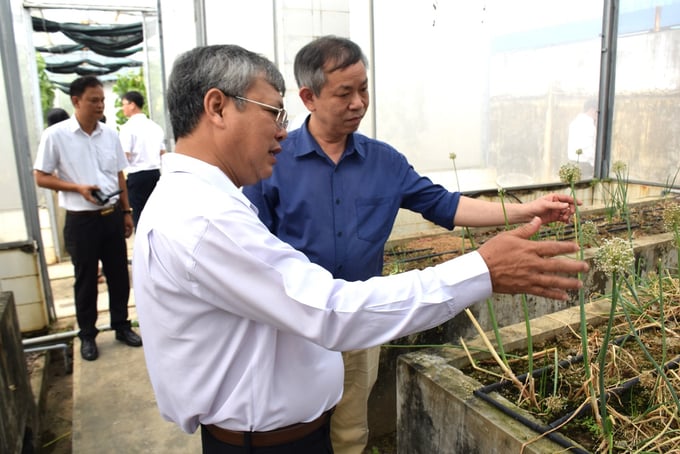 0-152254_684.jpg TS Hồ Huy Cường, Viện trưởng Viện Khoa học kỹ thuật nông nghiệp Duyên hải Nam Trung bộ (áo trắng) giới thiệu mô hình mô hình nghiên cứu giống hành tím với GS.TS Phạm Văn Toản, Phó Giám đốc Viện Khoa học Nông nghiệp Việt Nam. Ảnh: V.Đ.T.
