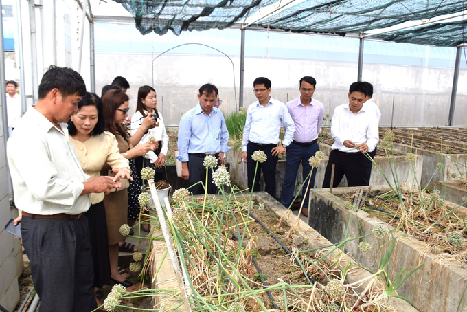 1-152255_648.jpg Tham quan mô hình nghiên cứu giống hành tím của Viện Khoa học kỹ thuật nông nghiệp Duyên hải Nam Trung bộ. Ảnh: V.Đ.T.