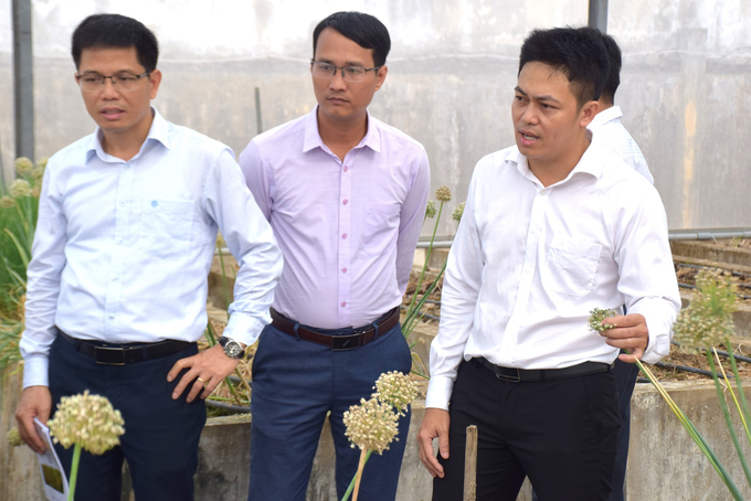 2-152256_219.jpg Thạc sỹ Lê Đức Dũng, Phó Bộ môn Rau - hoa - cây cảnh thuộc Viện Khoa học kỹ thuật nông nghiệp Duyên hải Nam Trung bộ (ngoài cùng bìa phải) thuyết minh lợi ích khi sử dụng hạt giống hành tím để sản xuất thương phẩm. Ảnh: V.Đ.T.