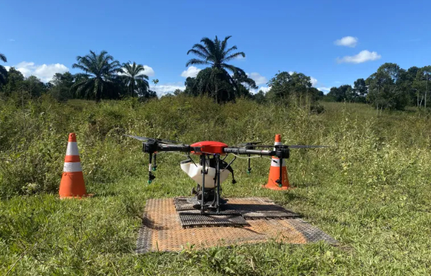 Using drones to sow seeds can help reforestation efforts.