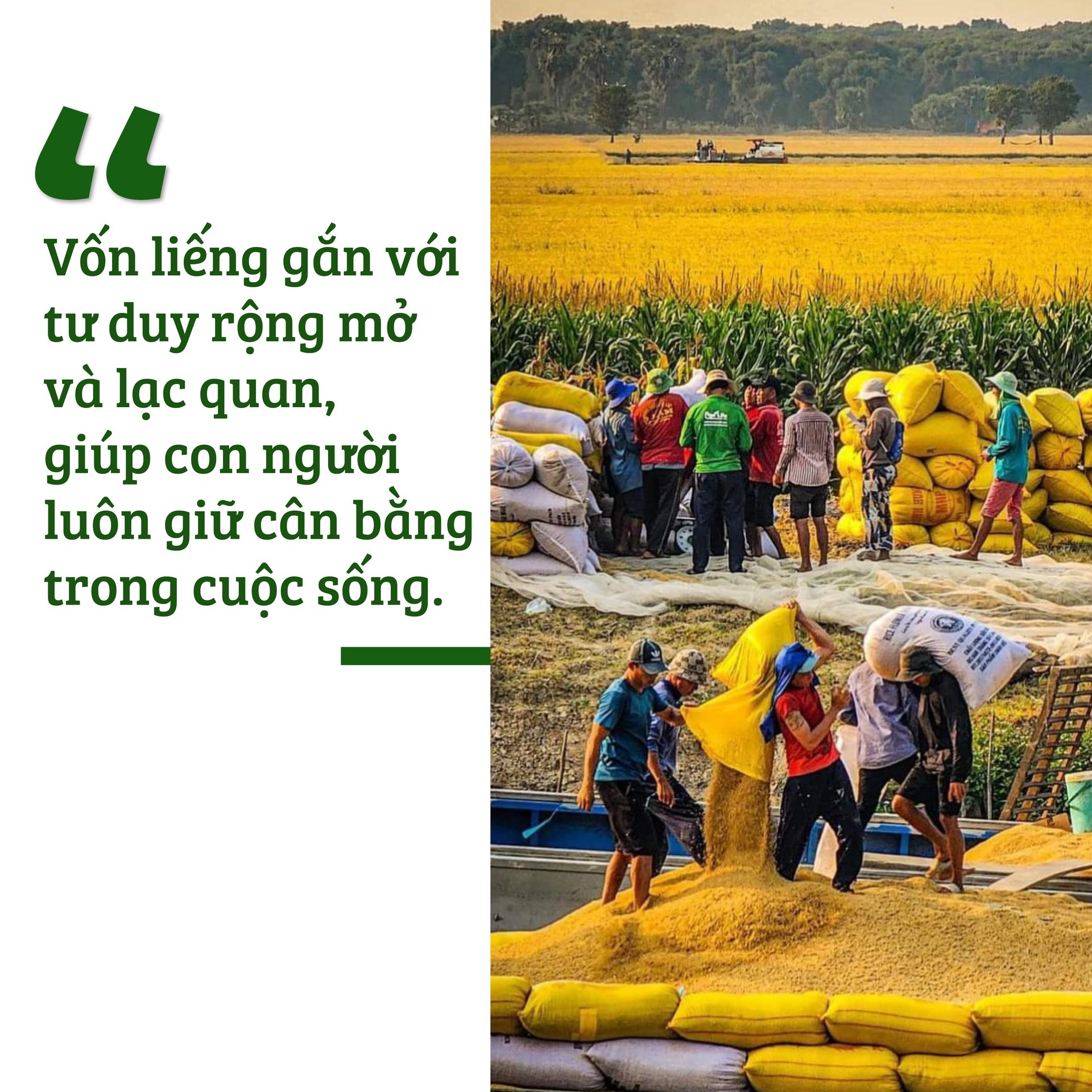 viet-tiep-cau-chuyen-von-lieng-054857_549.jpg