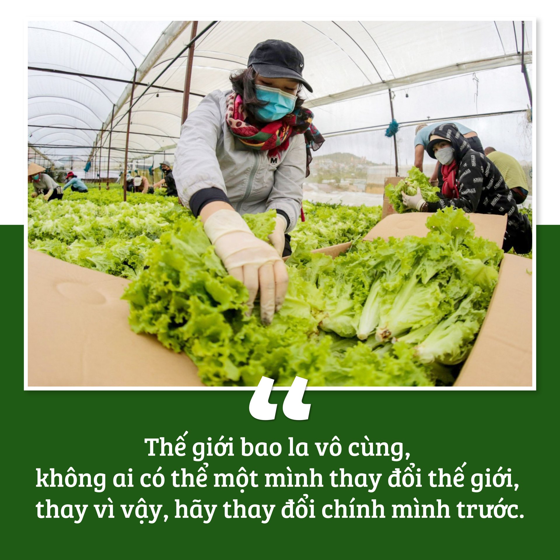 viet-tiep-cau-chuyen-von-lieng-054912_291.jpg