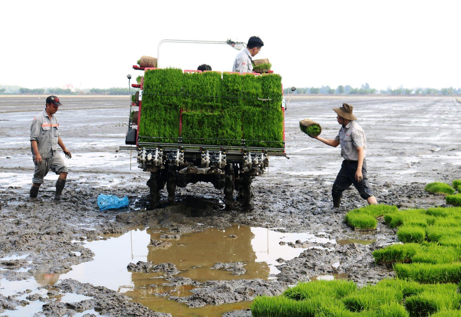 viet-tiep-cau-chuyen-von-lieng-055034_785.jpg