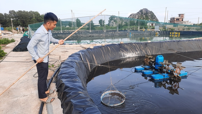 z5423133871599_a22785fddb781cf66a67debf40e7fc8b-155833_650.jpg Trang trại nuôi tôm rộng gần 3ha của anh Vũ Đức Tuấn hoạt động hiệu quả hơn với FarmGo. Ảnh: Nguyễn Thành.