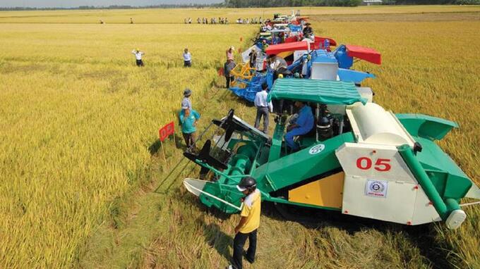 The progress of agricultural mechanization is inconsistent across different regions nationwide. Photo: LHV.