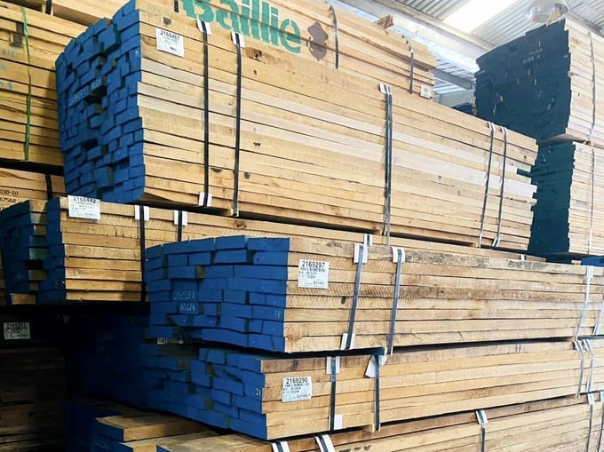 Raw wood materials in a warehouse at a factory in Binh Duong. Photo: Son Trang.