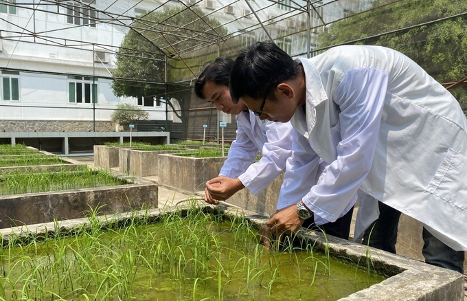 Researching quality agricultural products to meet market needs is the focus of the agricultural industry. Photo: Do ​​Huong.
