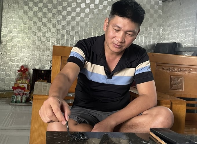Anh Tâm cho biết: 'Bọ cạp này không độc nhưng khi bắt cũng cần có kỹ thuật để tránh bị đốt'. Ảnh: Minh Toàn.