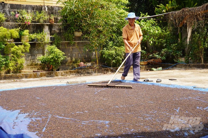 Many farmers in Lam San commune (Cam My district, Dong Nai province) persistently grow organic pepper. Photo: Nguyen Thuy.