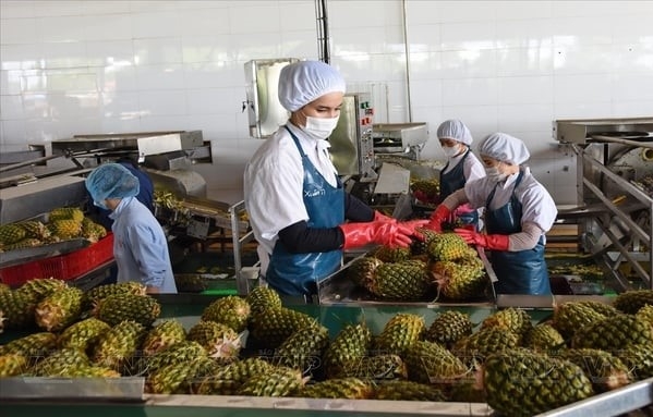 Vegetables and fruits, aquatic products, and wood and wood products had stable export growth in the first half of 2024. Photo: VNA.