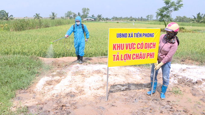 bung-phat-dich-ta-lon-chau-phi-tai-quang-yen-xa-lap-chot-nhu-thoi-covid-103209_376.jpg Sau khi phát hiện, lợn nhiễm dịch được mang đi tiêu hủy, chôn lấp theo quy định. Ảnh: Cường Vũ.