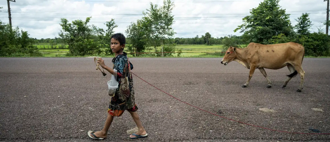 The Mekong river sustains agriculture, fishing, transport and commerce — and supports life in small villages and towns along its banks. Photo: Sirachai Arunrugstichai/Getty Images.