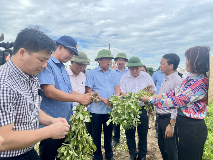 a-153846_781.jpg Lãnh đạo Sở Khoa học và Công nghệ tỉnh Nam Định cùng cán bộ địa phương và nhóm nghiên cứu thu hoạch và đánh giá kết quả đề tài nghiên cứu. Ảnh: Minh Toàn.