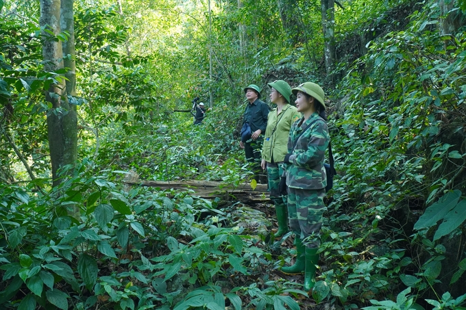 dddd-091731_514.jpg Hiện nay Khu bảo tồn loài - sinh cảnh Nam Xuân Lạc đang mời gọi các đối tác thuê dịch vụ môi trường rừng để phát triển du lịch.