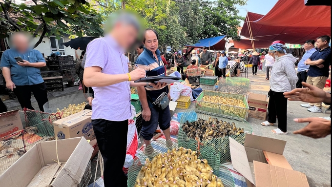 z5503436941135_a1a1be2c0955dedd922ea5b9186dc9c4-161507_402.jpg Thành viên Đoàn kiểm tra của Bộ NN-PTNT ghi nhận thông tin các cá nhân kinh doanh giống gia cầm không rõ nguồn gốc xuất xứ tại chợ phiên Cao Bình vào sáng ngày 17/5/2023. Ảnh: H.K.