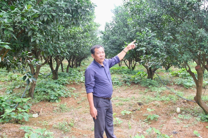 bai-3-san-xuat-an-toan-huu-co-la-huong-di-tat-yeu-225455_127-225456.jpg Theo ông Kỷ, nếu hình thành được hệ miễn dịch tự nhiên thì tự khắc cây trồng sẽ khỏe mạnh, sinh trưởng phát triển tốt, ít sâu bệnh, cho năng suất, chất lượng cao. Ảnh: Trung Quân.