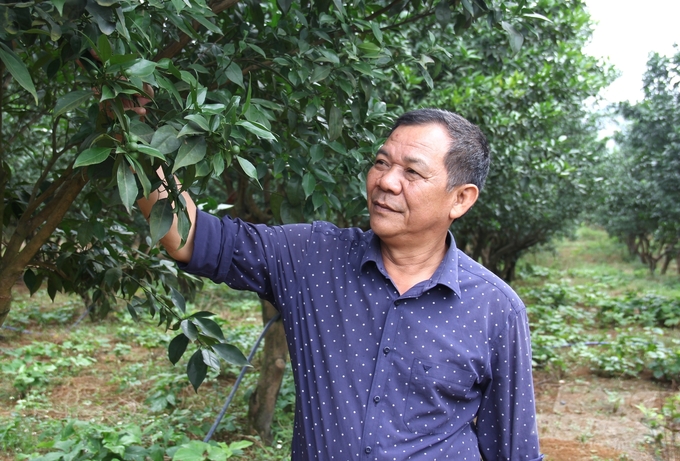 bai-3-san-xuat-an-toan-huu-co-la-huong-di-tat-yeu-230018_742-230019.jpg Theo ông Kỷ, khi cây trồng đã quen với phương thức canh tác theo hướng hữu cơ có thể giúp tiết kiệm chi phí 10 - 20 triệu đồng/ha/năm so với việc sử dụng toàn bộ vật tư đầu vào hóa học. Ảnh: Trung Quân.
