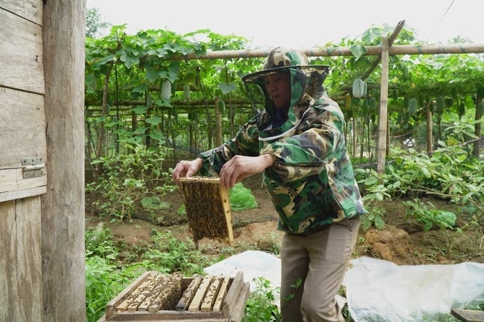 Beekeeping for honey production has provided Dung's family with stable income. Photo: Ngoc Tu.
