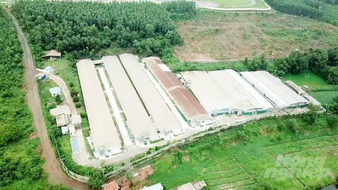 AHAV recommends that the State have appropriate policies, invest in appropriate technology, and train technical staff to help livestock farmers know how to conduct inventory and apply emission reduction technology effectively. Photo: Minh Sang.