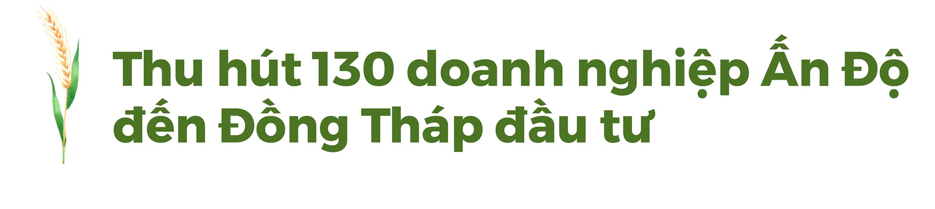 dong-thap-thu-hut-nhieu-nha-dau-tu-lon-giup-kinh-te-tang-truong-001813_885.jpg