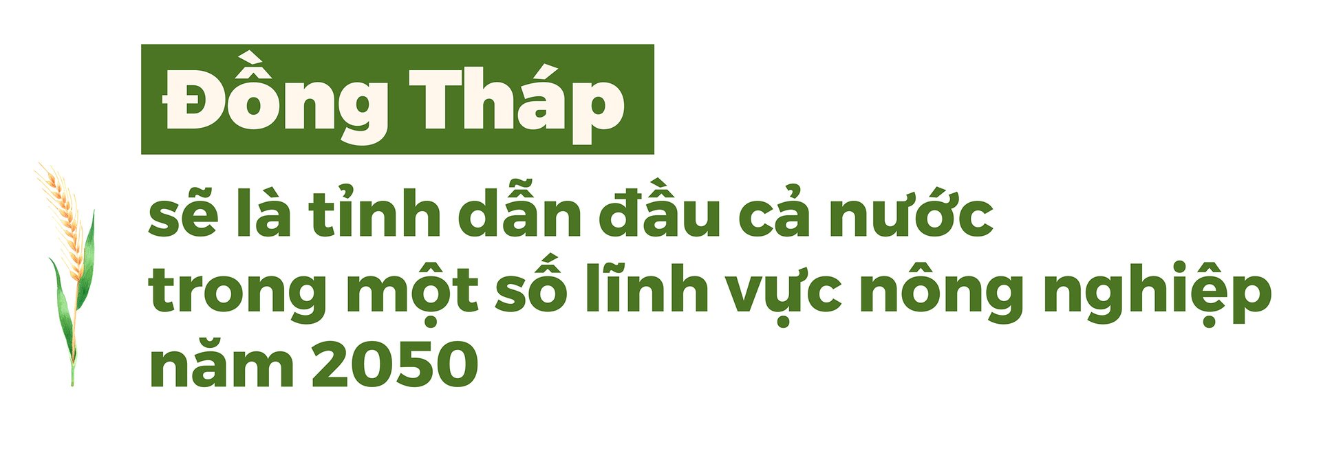 dong-thap-thu-hut-nhieu-nha-dau-tu-lon-giup-kinh-te-tang-truong-001825_444.jpg