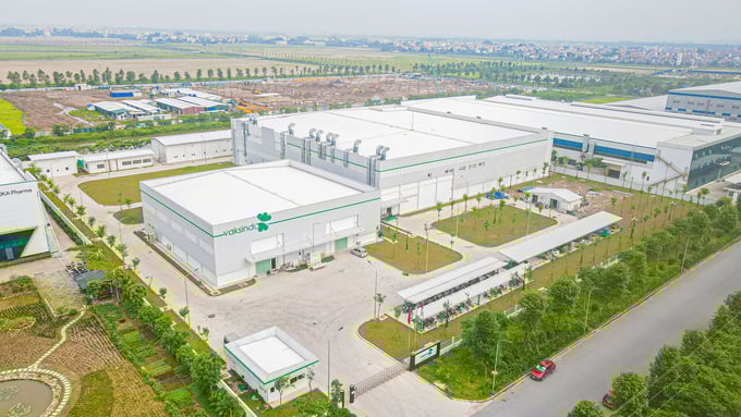 Vaksindo Vietnam's factory spans over 20,000 square meters. Photo: Vaksindo VN.