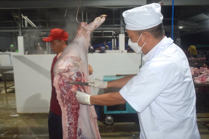 1-084224_120.jpg Gia súc mổ tại cơ sở giết mổ động vật tập trung được sự kiểm tra chặt chẽ của lực lượng thú y Bình Định. Ảnh: V.Đ.T.
