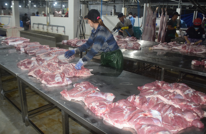 2-084225_770.jpg Gia súc mổ tại cơ sở giết mổ động vật tập trung đảm bảo vệ sinh thú y, vệ sinh an toàn thực phẩm. Ảnh: Phương Chi.
