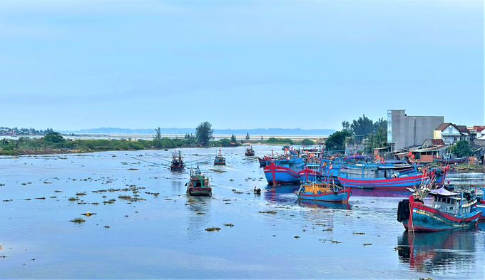 boi-lap-3-1-101544_289.jpg Cửa biển Cổ Lũy (TP Quảng Ngãi) bị bồi lấp nên các tàu công suất lớn không thể ra vào. Các tàu nhỏ muốn vào neo đậu và ra khơi phải canh nước thủy triều. Ảnh: Lê Khánh.