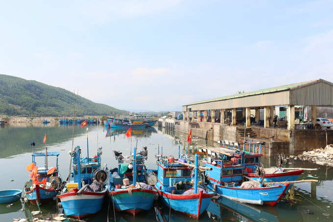 ngu-dan-3-101546_838.jpg Do luồng lạch bị bồi lấp nên số tàu thuyền vào neo đậu tại cảng Mỹ Á (thị xã Đức Phổ, Quảng Ngãi) mỗi năm ít dần. Ảnh: L.K.