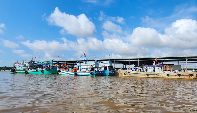 Các tàu cá có chiều dài trên 15m buộc phải có giấy chứng nhận an toàn vệ sinh thực phẩm, tàu dưới 15m cũng phải ký cam kết an toàn thực phẩm khi hoạt động trên biển. Ảnh: Kim Anh.