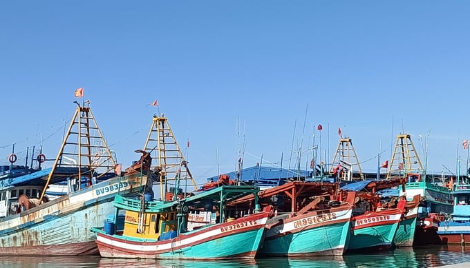 Any breaches in the verification and authentication of the source of seafood will be meticulously examined, traced, and dealt with rigorously to discourage such actions at all relevant levels.