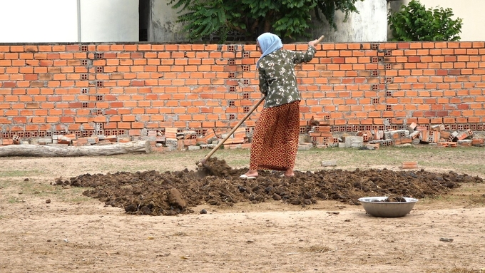 Phân bò được người dân dọn vào 1 góc riêng biệt để ủ làm phân bón cho cây trồng. Ảnh: PC.